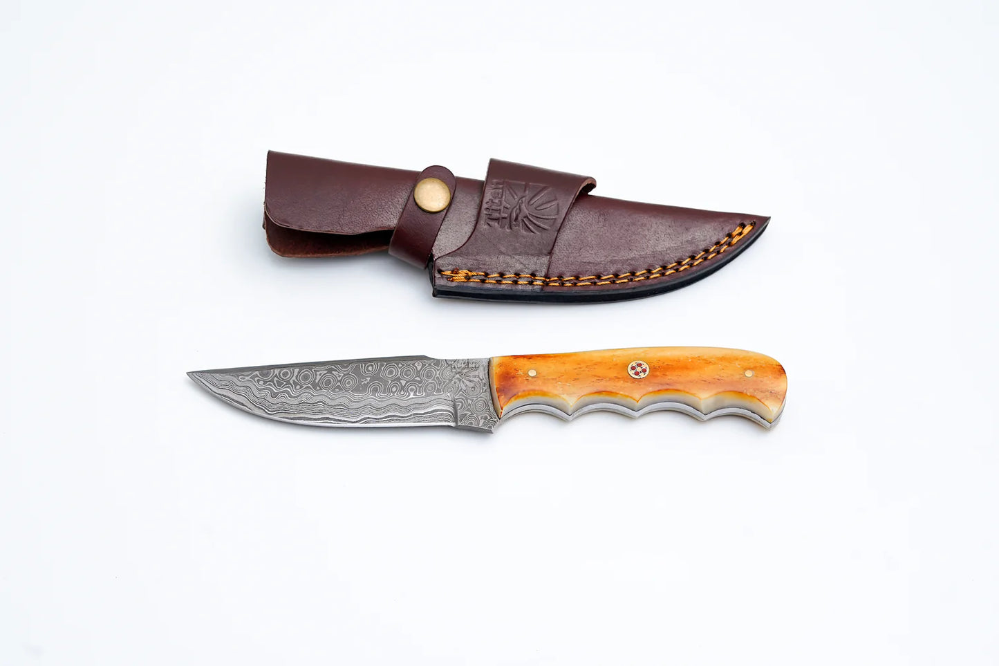 Damascus steel burnt bone and walnut hunting knife