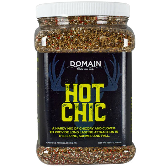 Domain Hot Chick