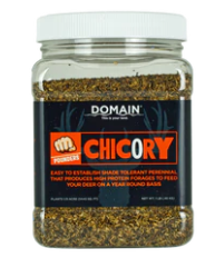 Domain Chicory