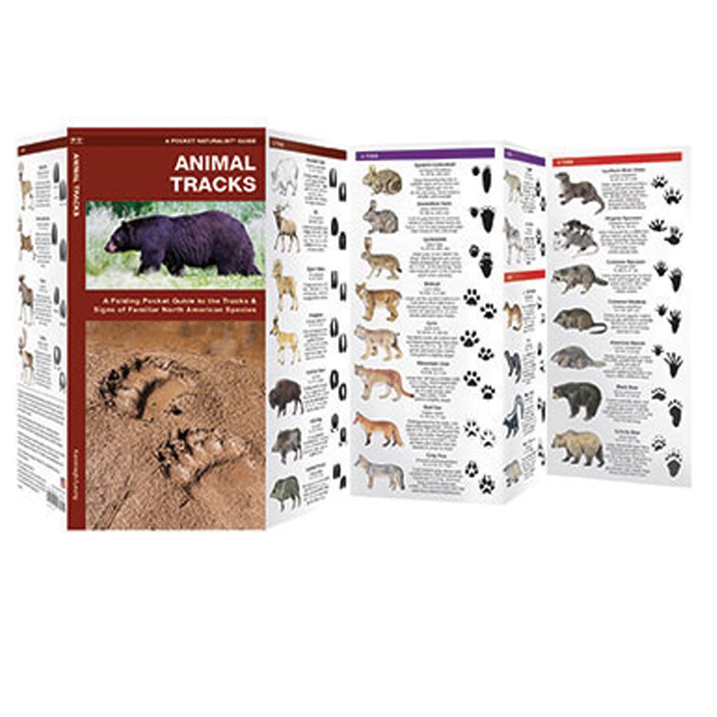 Animal Tracks Pocket Guide