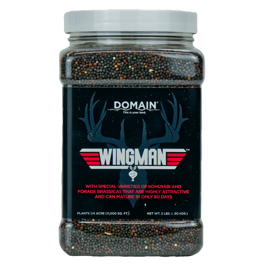 Domain Wingman