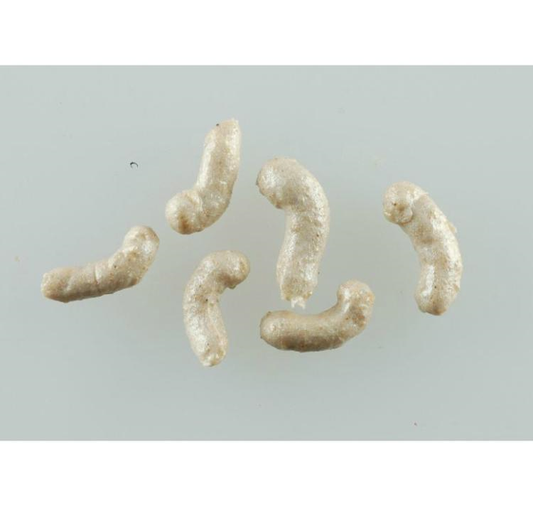 Gulp alive maggot white
