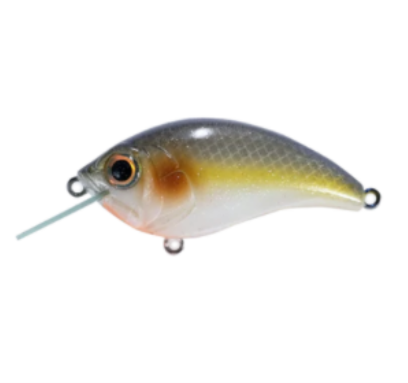 MR-12 3/4OZ Crankbaits - Bill Lewis