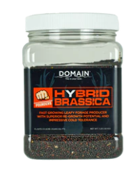 Domain Hybrid Brassica