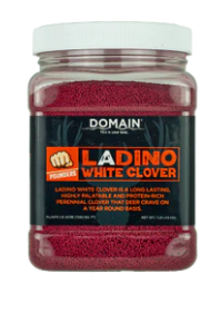 Domain Ladino White Clover