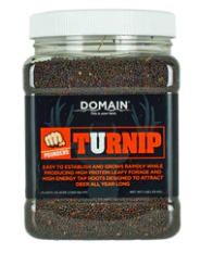 Domain Turnip