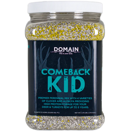 Domain Comeback Kid
